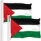 Palestine Palestinian Flag 3x5 Ft 2-Pack 150D Printed Polyester By G128